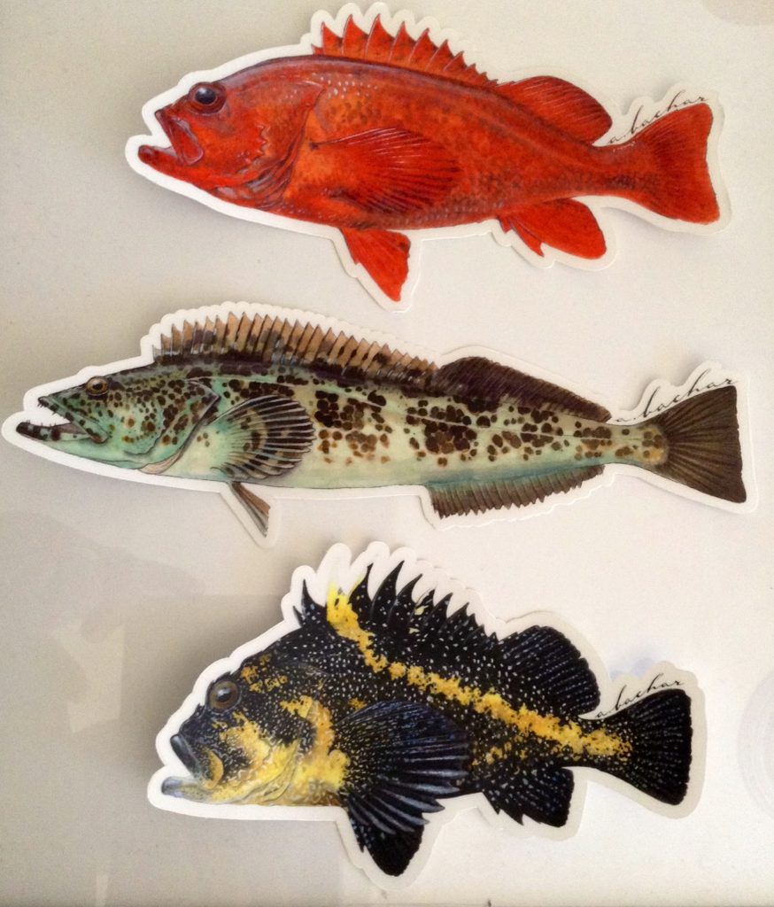 Custom Car/tackle decals from Artist Amedeo Bachar, when we saw these we knew you guys would love them.. Ling is approx. 7"