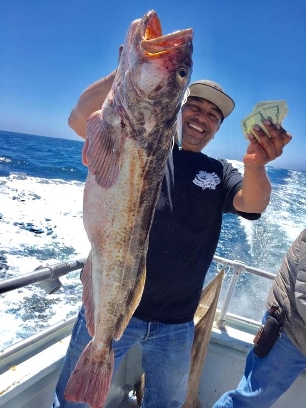 New Lingcod jigs winning jackpots up and down the coast!! - Best Ling Cod  jigs and luresBest Ling Cod jigs and lures